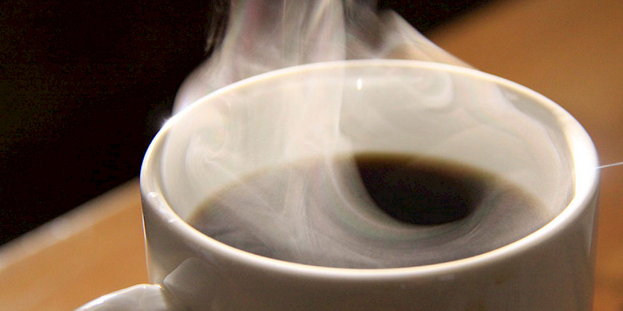 Kopje koffie bij ontvangst, gevolgd door een uitgebreide uitleg van de dag